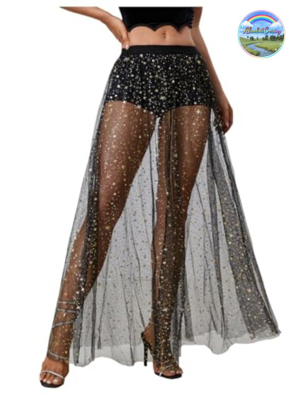Sheer Mesh Maxi Skirt Y2K A-Line High Waist Party Concert